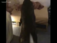 Dog Rides his Owner for a dog Style Fuck